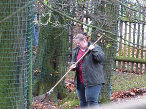 Saubermachen im B&auml;renpark