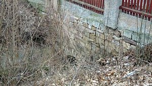 Br&uuml;cke &uuml;bergeben