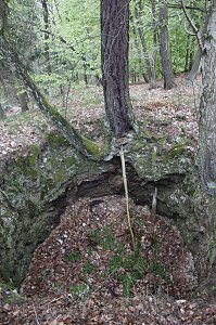 Der Alte Stolberg