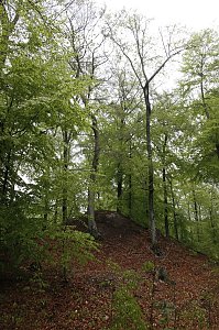 Der Alte Stolberg