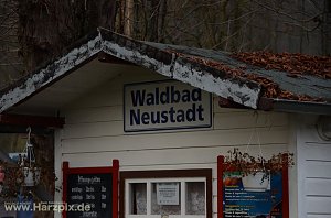 Neujahrsanbaden