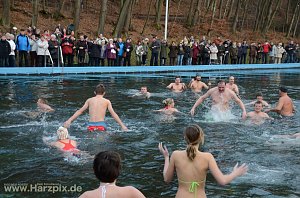 Neujahrsanbaden