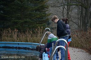Neujahrsanbaden