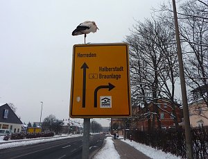Zwischenlandung