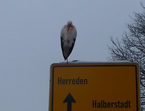Zwischenlandung