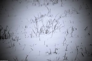 Winterliche Impressionen