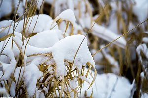 Winterliche Impressionen