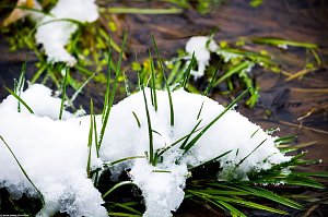 Winterliche Impressionen