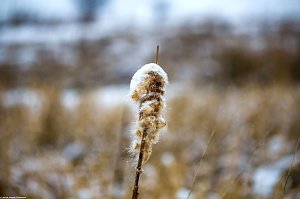 Winterliche Impressionen