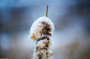 Winterliche Impressionen