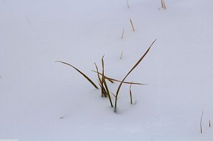 Winterliche Impressionen