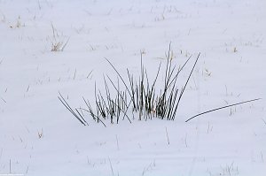 Winterliche Impressionen