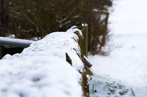 Winterliche Impressionen