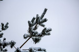 Winterliche Impressionen
