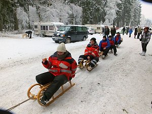Schlittenhunderennen in Benneckenstein
