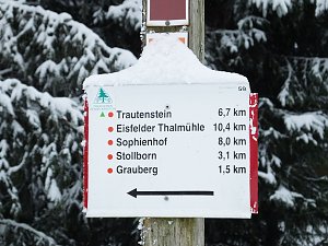 Schlittenhunderennen in Benneckenstein
