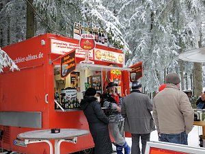 Schlittenhunderennen in Benneckenstein