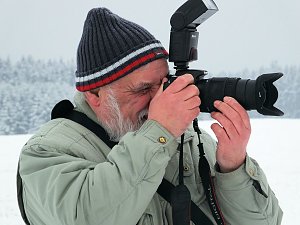 Schlittenhunderennen in Benneckenstein