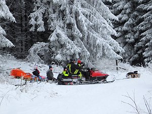Schlittenhunderennen in Benneckenstein
