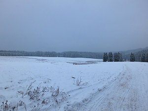 Schlittenhunderennen in Benneckenstein