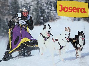 Schlittenhunderennen in Benneckenstein