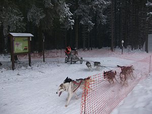 Im Einsatz in Benneckenstein