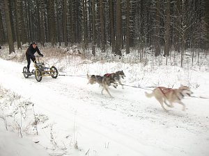 Im Einsatz in Benneckenstein