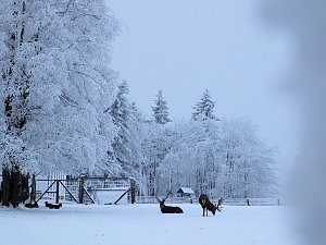 Der Oberharz am Brocken