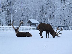 Der Oberharz am Brocken