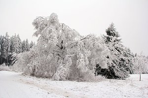 Der Oberharz am Brocken
