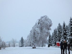 Der Oberharz am Brocken