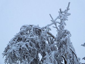 Der Oberharz am Brocken