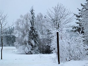 Der Oberharz am Brocken