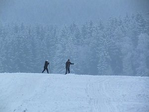 Der Oberharz am Brocken