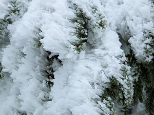 Der Oberharz am Brocken