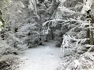 Der Oberharz am Brocken