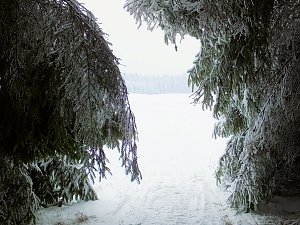Der Oberharz am Brocken
