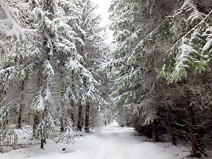Der Oberharz am Brocken