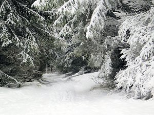 Der Oberharz am Brocken