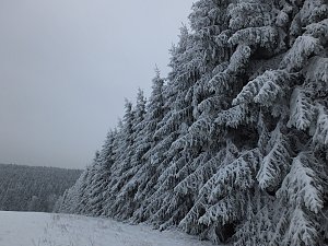 Der Oberharz am Brocken