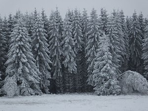 Der Oberharz am Brocken