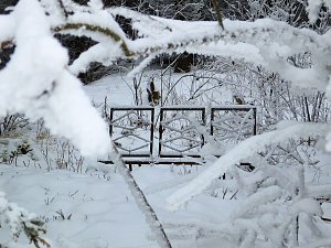Der Oberharz am Brocken