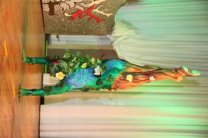 Jugendkarneval in Sollstedt