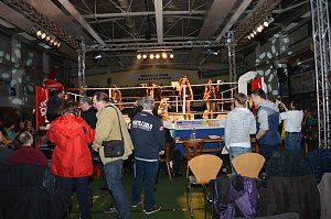 Revanche gegen Babelsberg gegl&uuml;ckt
