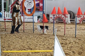 Hundesport und Faschingskostüm