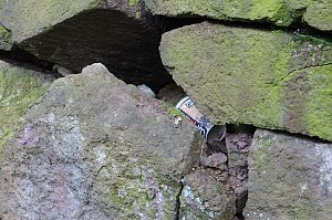 Es gibt noch viel zu tun - im Park