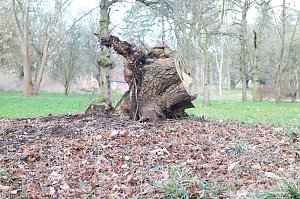 Es gibt noch viel zu tun - im Park