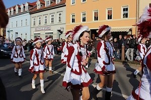 Rosenmontagsumzug
