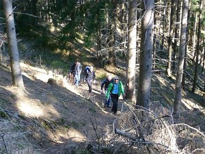 Harzwanderung