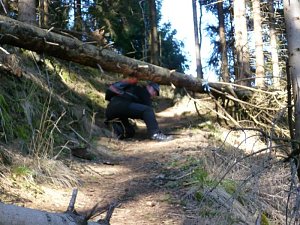 Harzwanderung